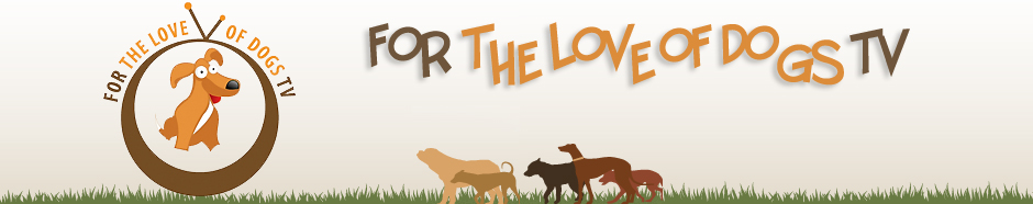 For The Love of Dogs TV  on Chommmp! Animal Television